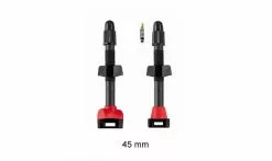 Valvole Tubeless Barbieri Carbonaria (x2) 7 Valvole Tubeless Barbieri Carbonaria (x2) -Vendite MTB Carbonaria AD CARB45 1235x735 1235x735