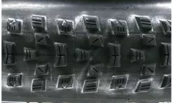 Copertone Maxxis ForekasterEXO Protection - Dual 62a/60a - Tubeless Ready 7 Copertone Maxxis ForekasterEXO Protection - Dual 62a/60a - Tubeless Ready -Vendite MTB Pneu Maxxis Forekaster EXO Protection Dual 62a60a Tubeless Ready2 1235x735