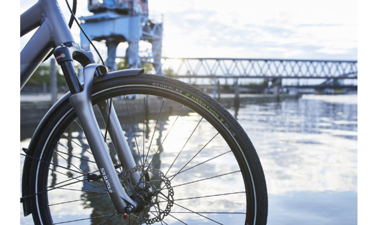 Copertone Schwalbe Marathon E-PlusAddix E - TwinSkin - Smart DualGuard 3 Copertone Schwalbe Marathon E-PlusAddix E - TwinSkin - Smart DualGuard - immagine 3