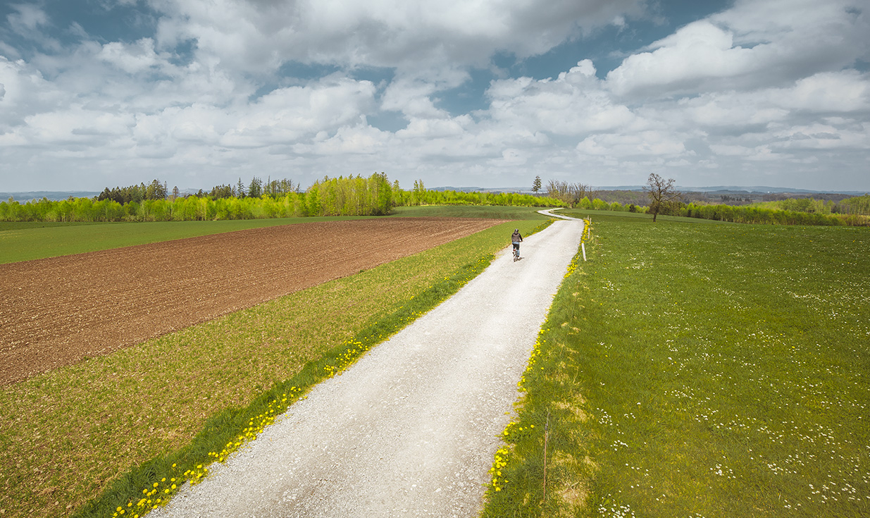 Pneumatico Schwalbe Marathon Plus Tour 700/28" - Addix - SmartGuard 6 Pneumatico Schwalbe Marathon Plus Tour 700/28" - Addix - SmartGuard - immagine 6
